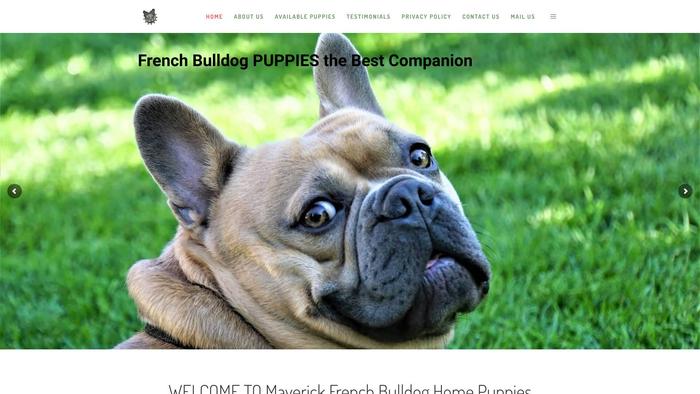 Maverickfrenchbulldoghome.com - French Bulldog Puppy Scam Review