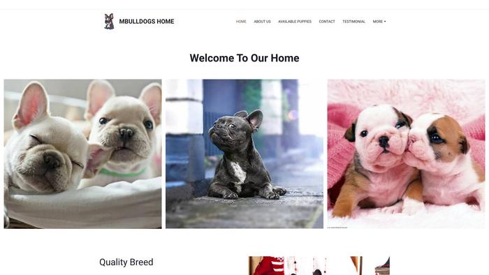 Mbulldogpuppies.com - Bulldog Puppy Scam Review