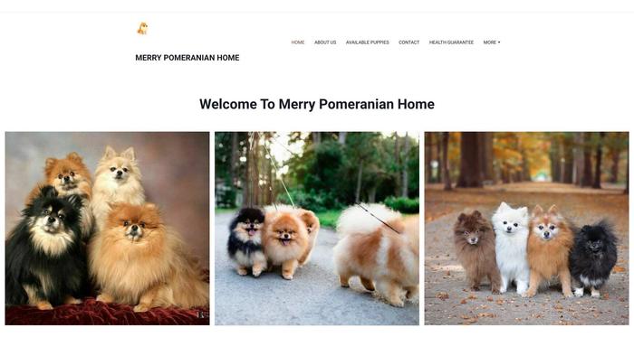 Merrypomeranianhome.com - Pomeranian Puppy Scam Review