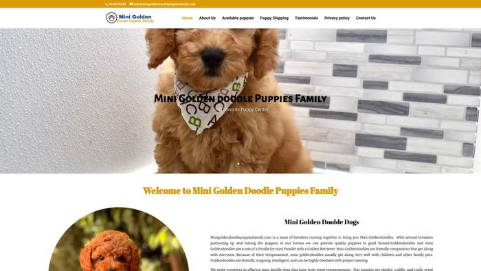 Minigoldendoodlepuppiesfamily.com - Golden Doodle Puppy Scam Review