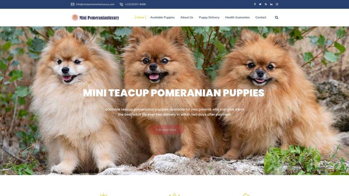 Minipomeranianluxury.com - Pomeranian Puppy Scam Review