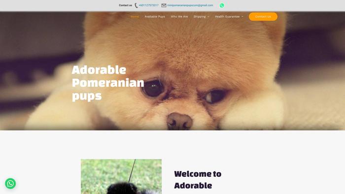 Minipomeranianpups.com - Pomeranian Puppy Scam Review