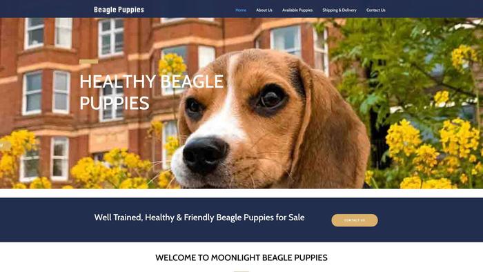 Moonlightscandles.com - Beagle Puppy Scam Review