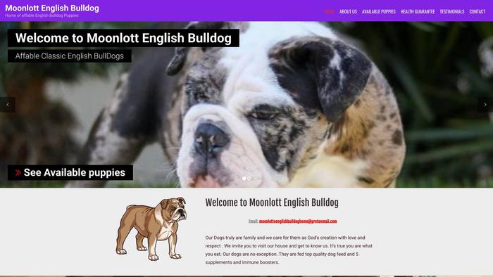 Moonlottenglishbulldog.com - English Bulldog Puppy Scam Review