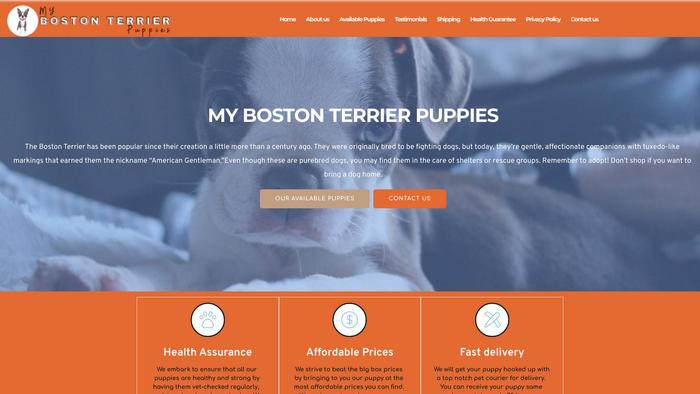 Mybostonterrierpuppies.com - Boston Terrier Puppy Scam Review