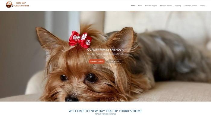 Newdaypuppies.com - Yorkshire Terrier Puppy Scam Review