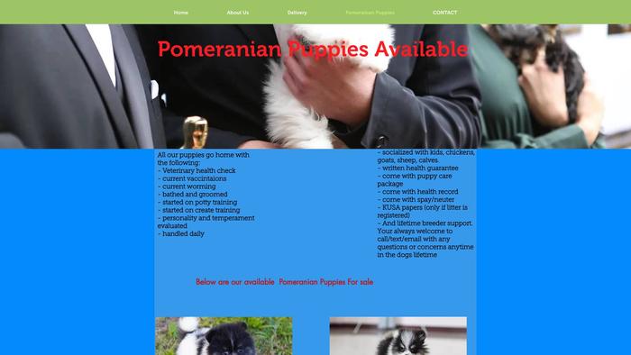 Nolanpomsparadise.com - Pomeranian Puppy Scam Review