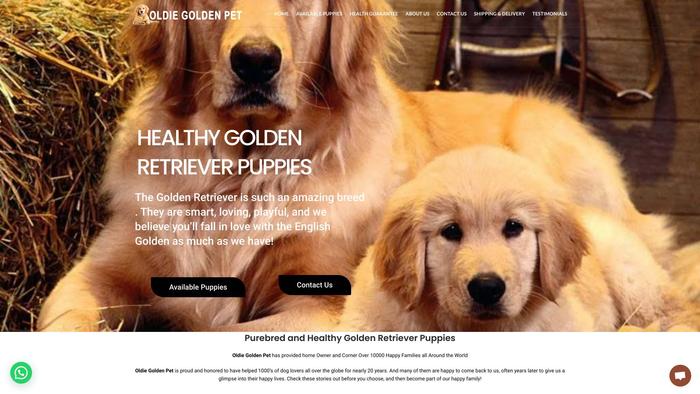 Oldiegoldenpet.com - Golden Retriever Puppy Scam Review