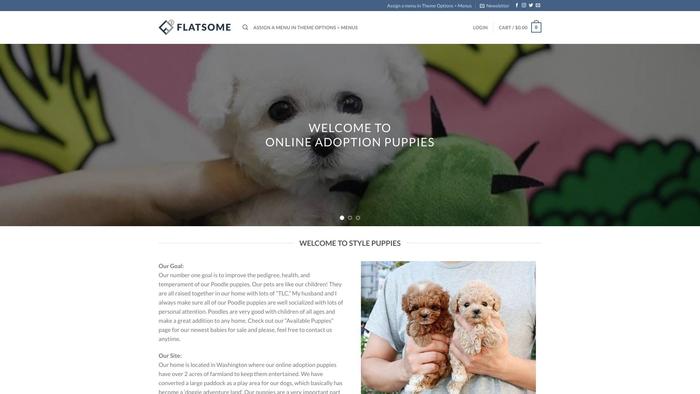 Onlineadoptionpuppies.com - Beagle Puppy Scam Review