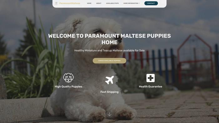 Paramountmaltese.com - Maltese Puppy Scam Review