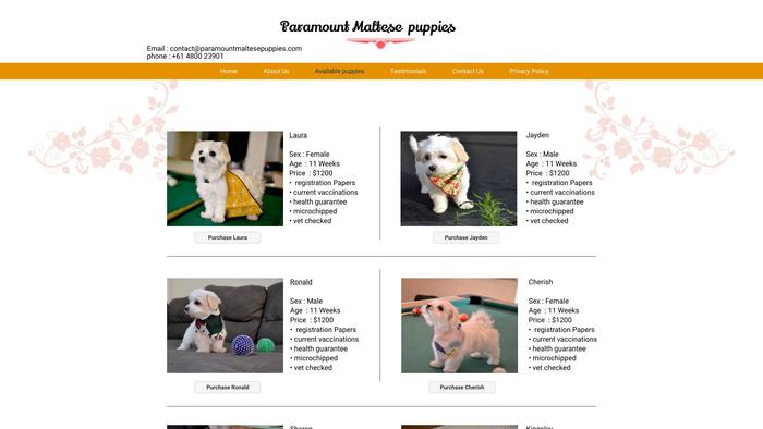 Paramountmaltesepuppies.com - Maltese Puppy Scam Review