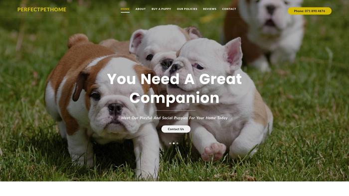 Perfectpetshome.com - English Bulldog Puppy Scam Review