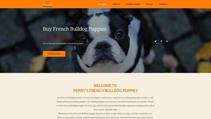 Perryfrenchbulldogpuppies.com - French Bulldog Puppy Scam Review