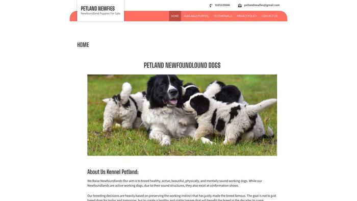 Petlandnewfies.com - Saint Bernard Puppy Scam Review