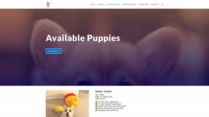 Piercecorgipuppies.com - Corgi Puppy Scam Review