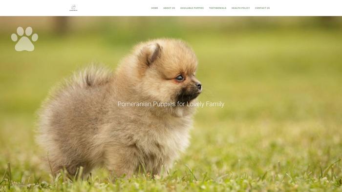 Pomeranianeversunny.com - Pomeranian Puppy Scam Review