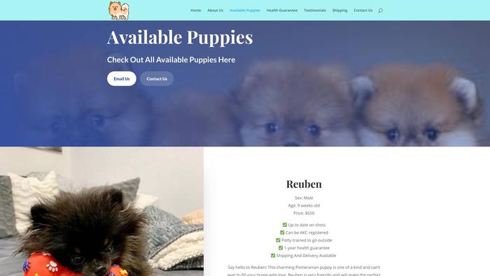 Pomeranpuppies.com - Pomeranian Puppy Scam Review