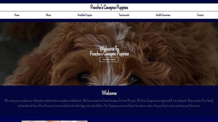 Poochescavapoopuppies.com - Cavapoo Puppy Scam Review