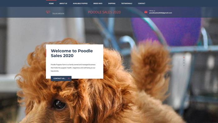 Poodlesales2020.com - Poodle Puppy Scam Review