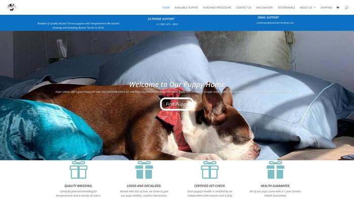 Pottybostonterrierhomes.com - Terrier Puppy Scam Review