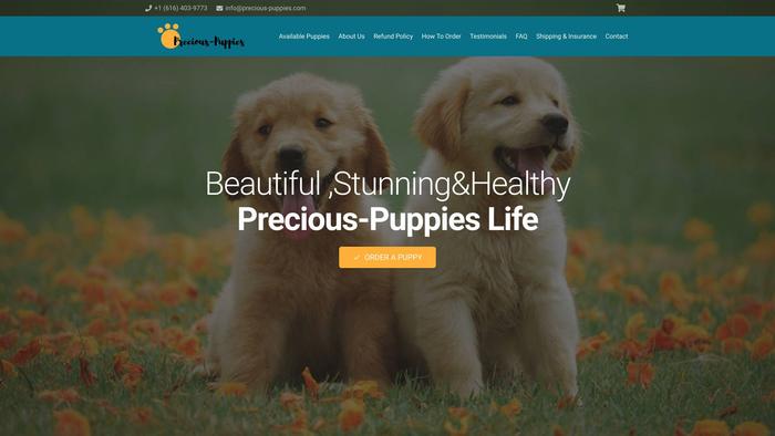 Precious-puppies.com - Chihuahua Puppy Scam Review