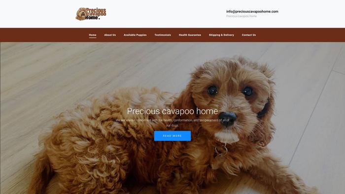 Preciouscavapoohome.com - Cavapoo Puppy Scam Review