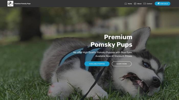 Premiumpomskypups.com - Pomeranian Puppy Scam Review