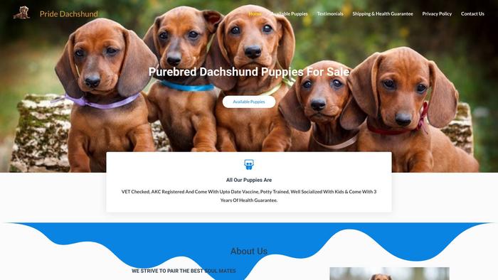 Pridedachshund.com - Dachshund Puppy Scam Review