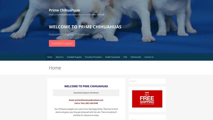 Primechihuahuas.com - Chihuahua Puppy Scam Review