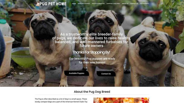 Pugpethome.com - Pug Puppy Scam Review