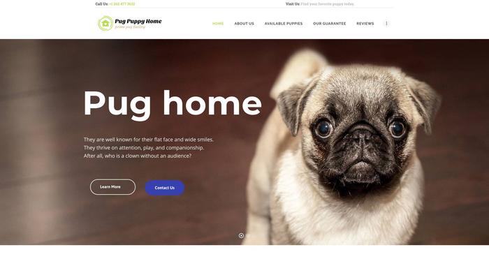 Pugpuppiesforhomes.com - Pug Puppy Scam Review