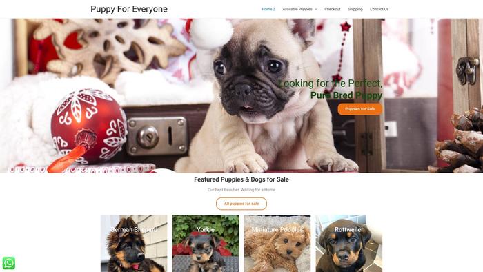 Puppyforeveryone.com - Yorkshire Terrier Puppy Scam Review