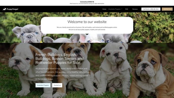 Puppytarget.com - English Bulldog Puppy Scam Review