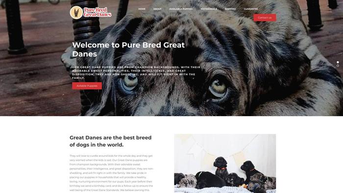 Purebredgreatdanes.com - Great Dane Puppy Scam Review