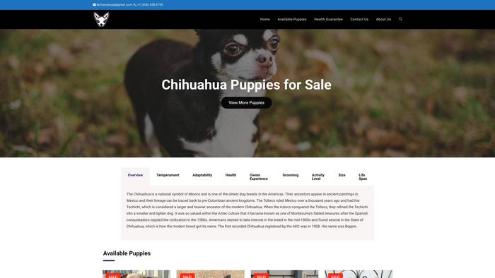 Purechihuahuas.com - Chihuahua Puppy Scam Review