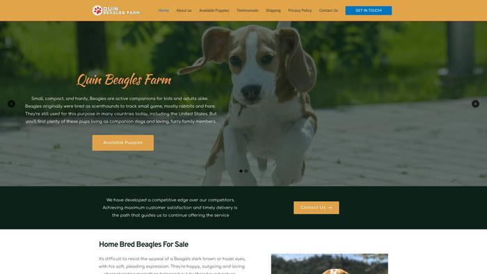 Quinbeaglesfarm.com - Beagle Puppy Scam Review