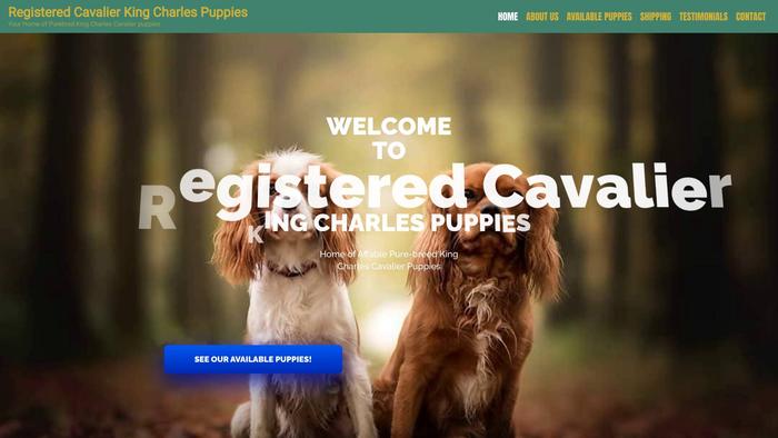 Registeredcavalierkingcharlespuppies.com - Cavalier King Charles Spaniel Puppy Scam Review