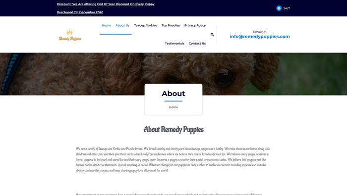 Remedypuppies.com - Yorkshire Terrier Puppy Scam Review