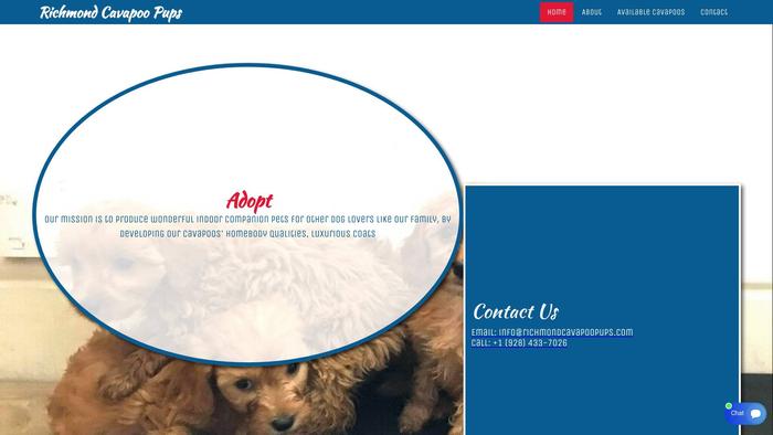 Richmondcavapoopups.com - Cavapoo Puppy Scam Review