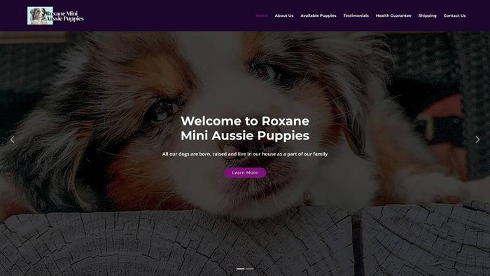 Roxaneminiaussiepuppies.com - Australian Shepherd Puppy Scam Review