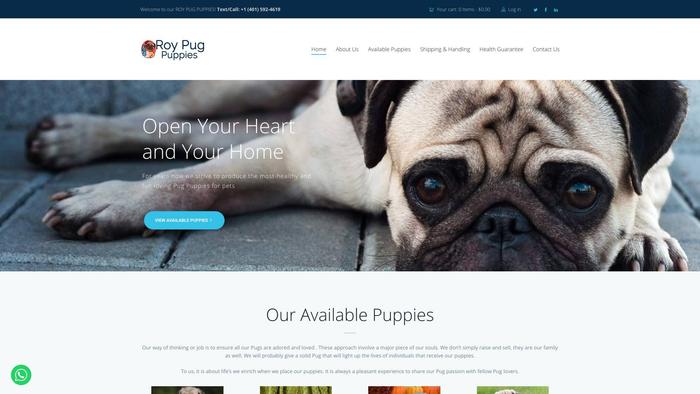 Roypugpuppies.com - Pug Puppy Scam Review