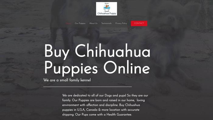 Ryanchihuahuapuppy.com - Chihuahua Puppy Scam Review