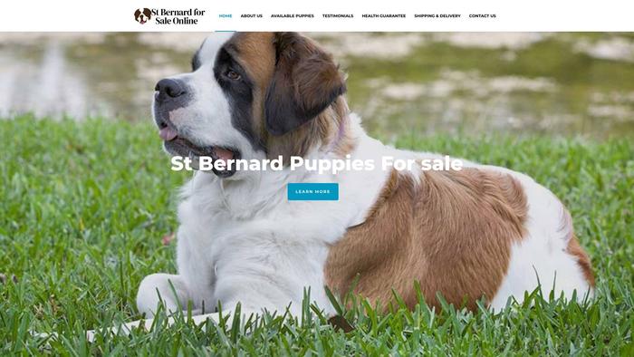 Saintbernardpuppiesforsaleonline.com - Saint Bernard Puppy Scam Review