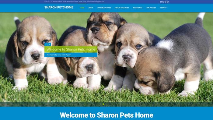 Sharonpetshome.com - Golden Retriever Puppy Scam Review