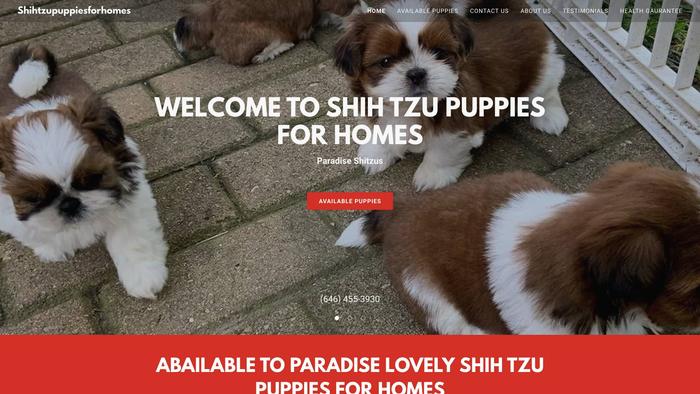 Shihtzupuppiesforhomes.com - Shihtzu Puppy Scam Review