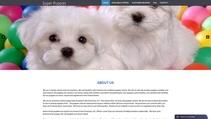 Shop-puppy.com - Maltese Puppy Scam Review