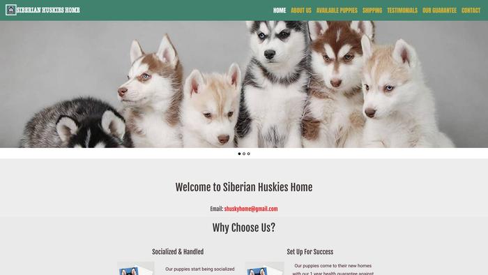 Siberianhuskieshome.com - Husky Puppy Scam Review