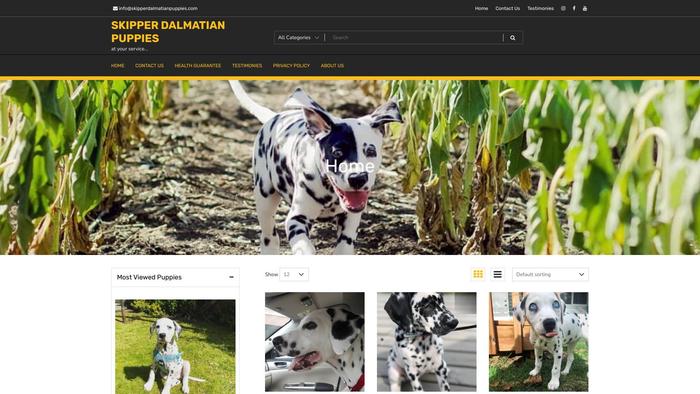 Skipperdalmatianpuppies.com - Labrador Puppy Scam Review