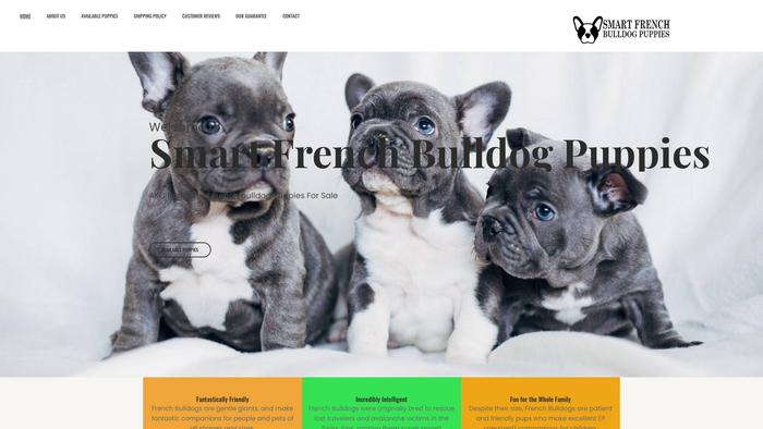 Smartfrenchbulldogpuppies.com - French Bulldog Puppy Scam Review