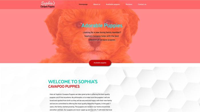 Sophiacavapoopuppies.com - Cavapoo Puppy Scam Review